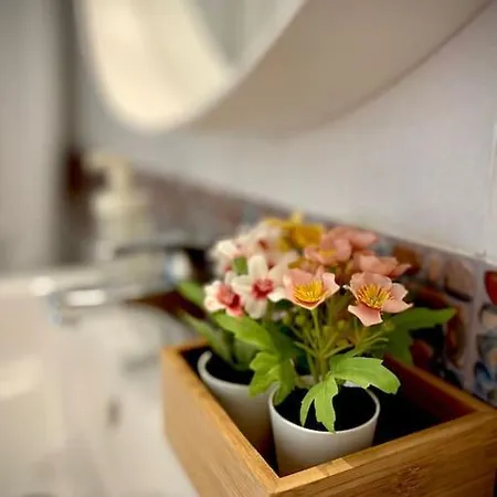 Mychoice Alegria Apartman *
